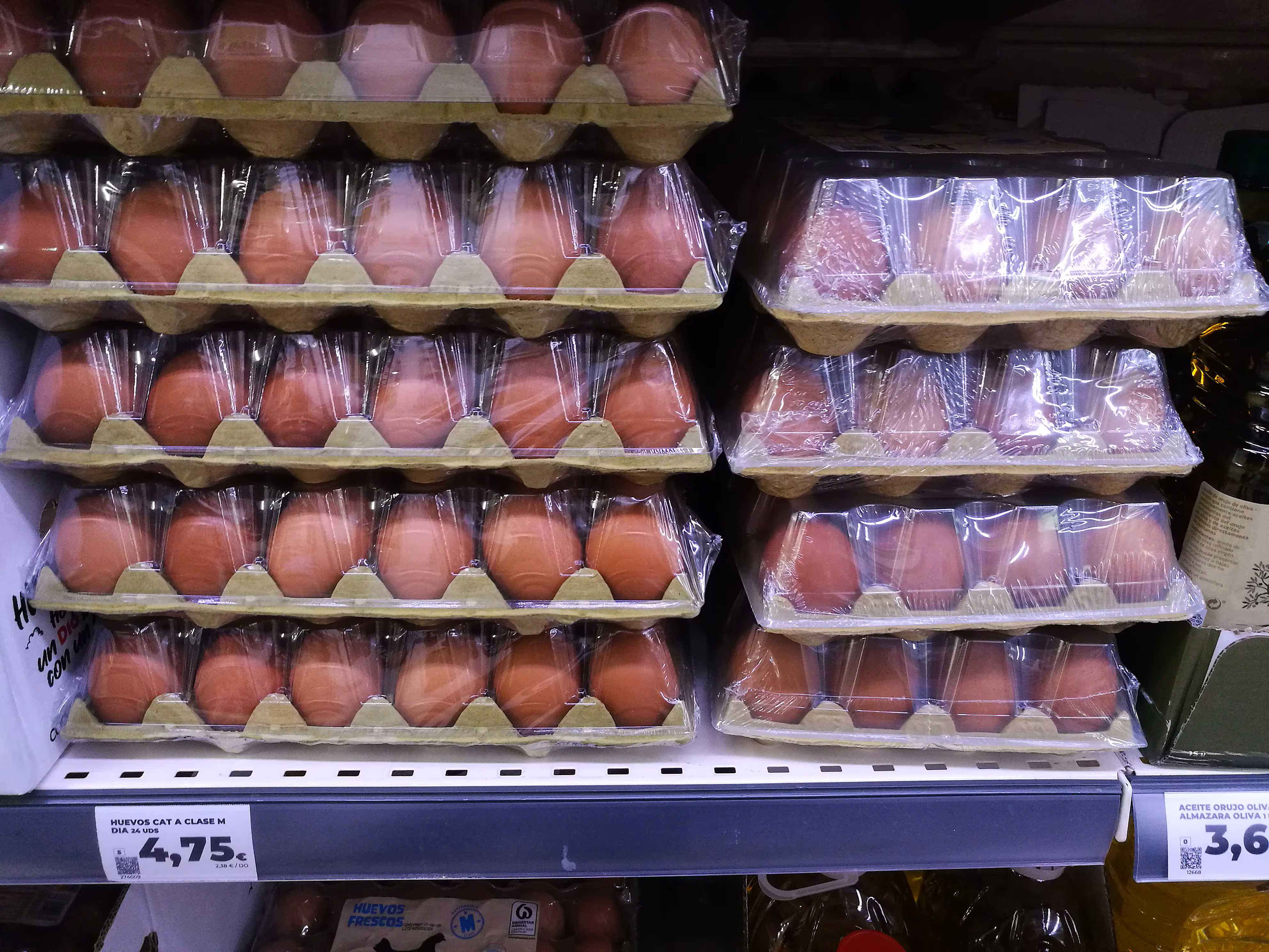 Al menos 13 intoxicados por salmonela en España por huevos contaminados con la bacteria